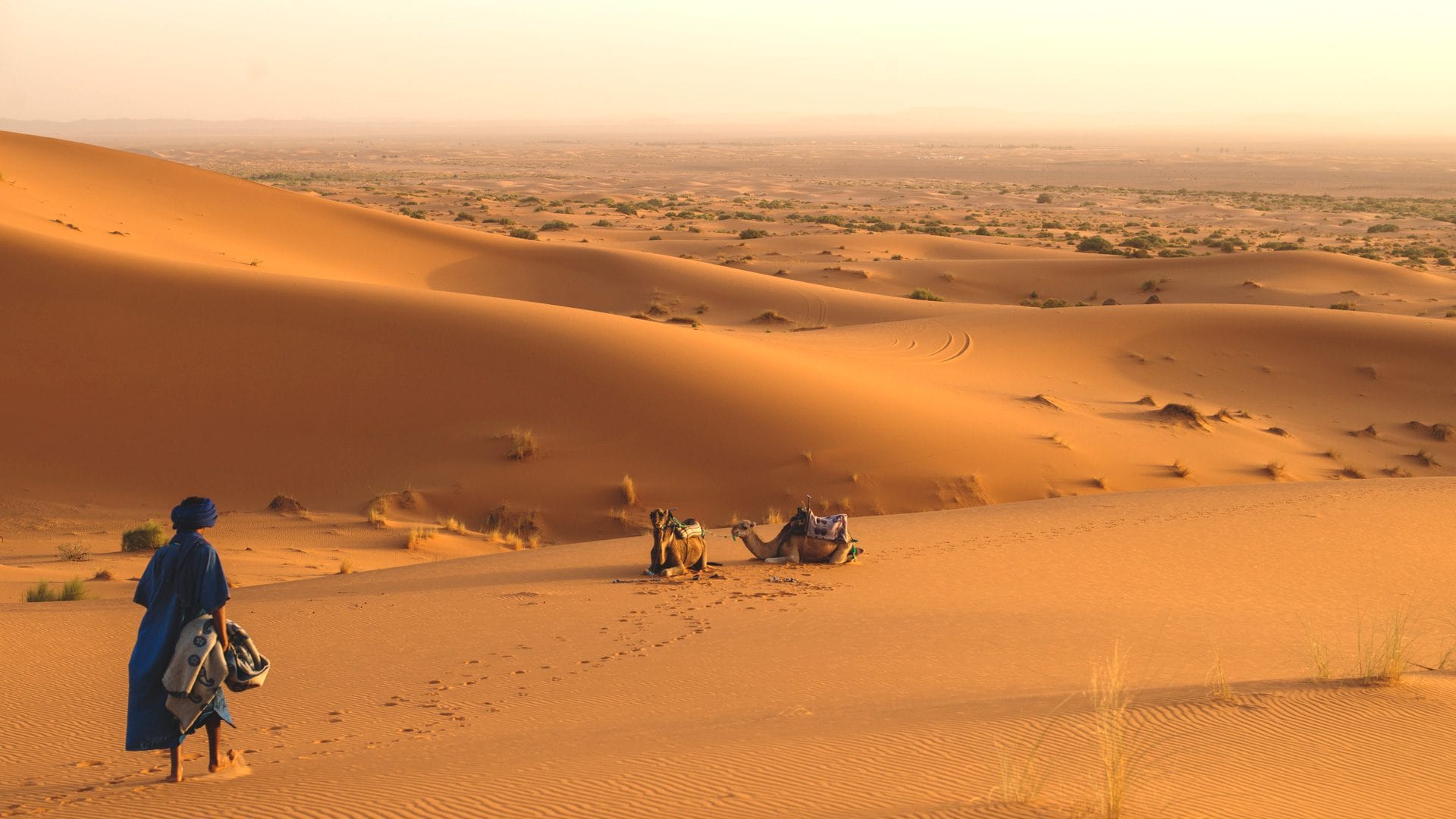 Marruecos y Lisboa: cuando el desierto conoce el mar 3 Sahara ok