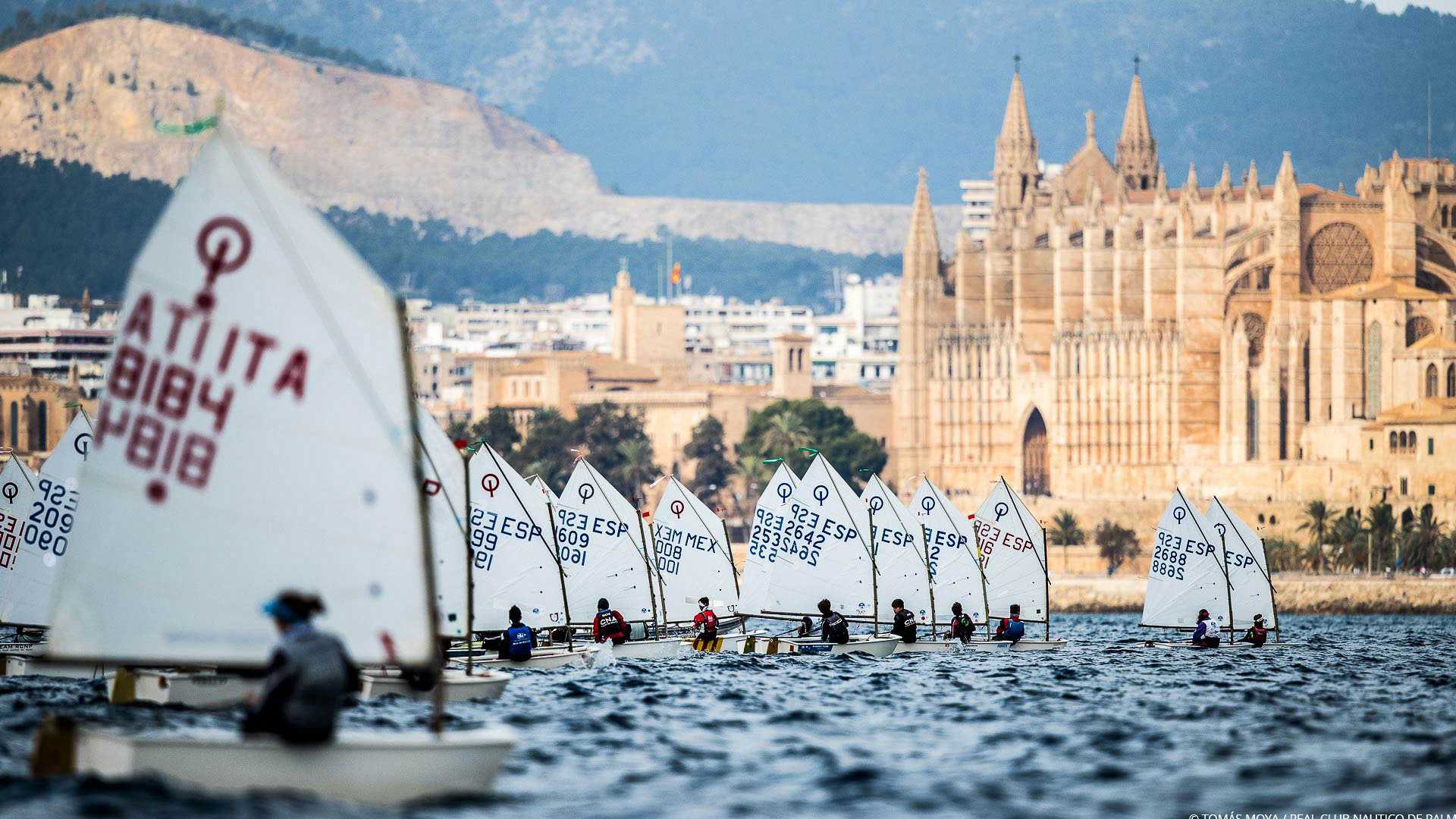 Desde Andalucía hasta Palma de Mallorca: se hace camino al andar 5 Palma de Mallorca