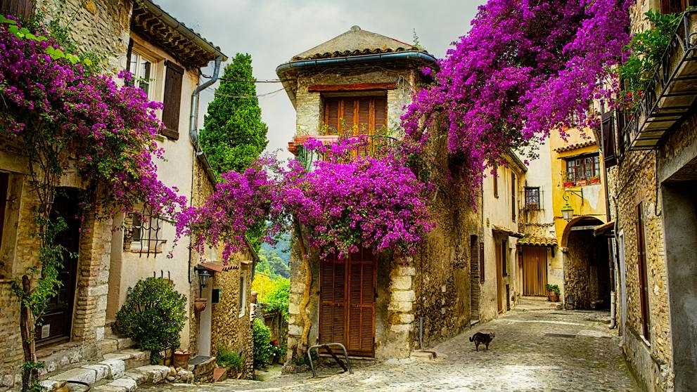 Aventura única en el Vieux Nice y adiós a la Provenza 3 La provenza blog