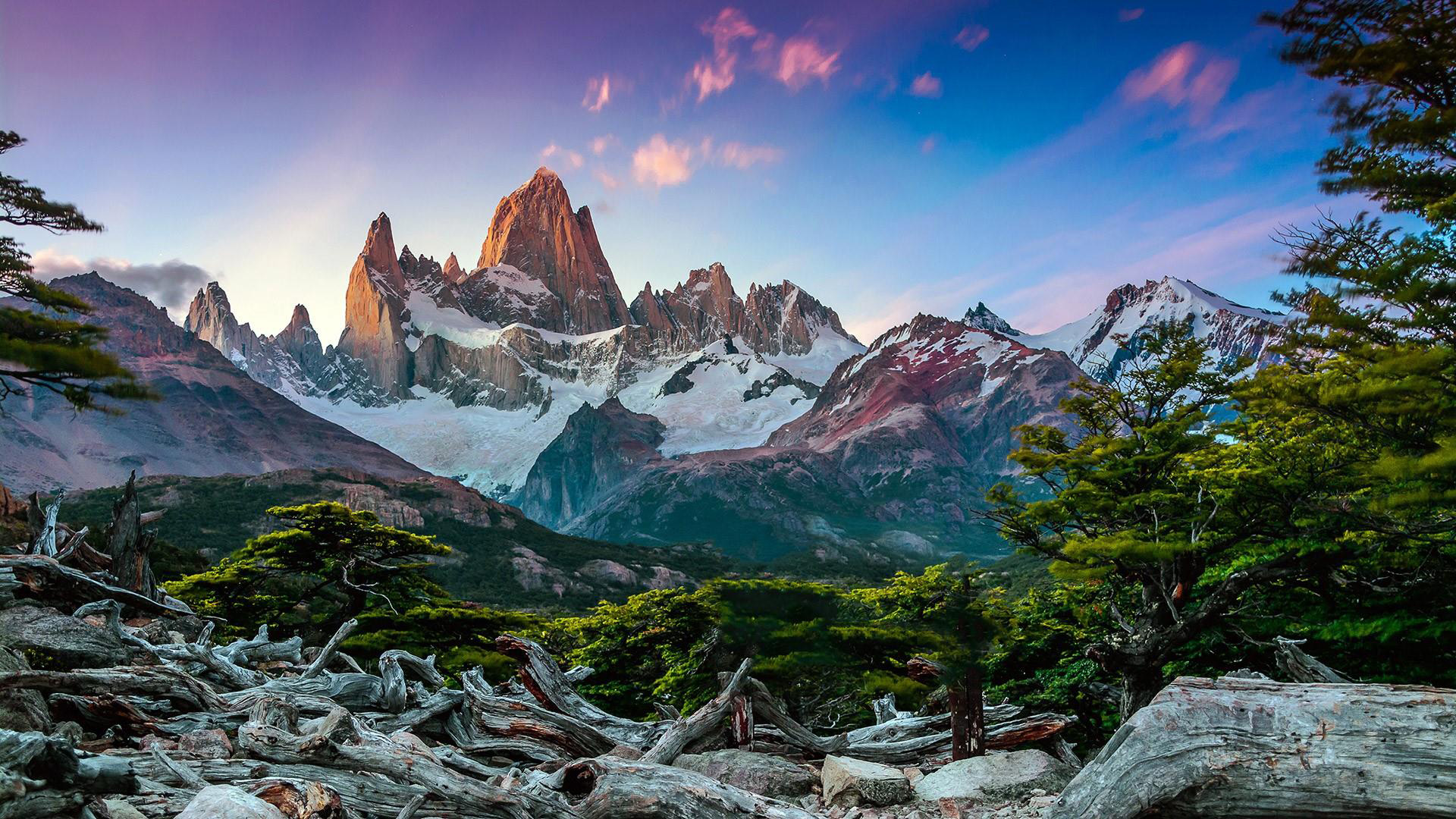 CALAFATE CHALTEN