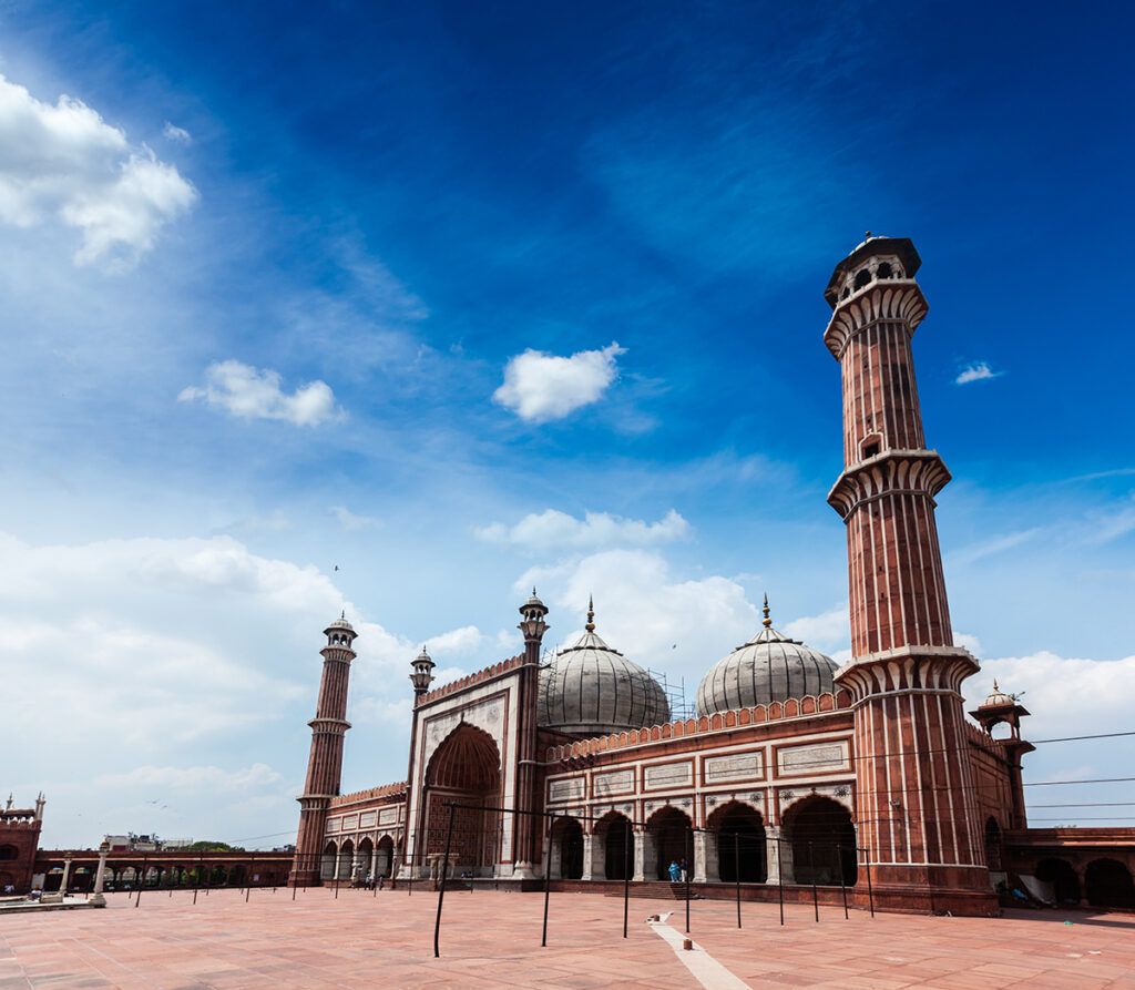Nuestro exclusivo viaje a la INDIA, te contamos las razones para que sea tu próximo destino de viaje 3 colores de la india viajar a delhi