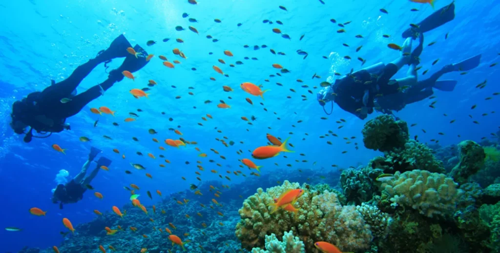 8 razones para elegir Jamaica como tu próximo destino 8 Punto de buceo en Jamaica