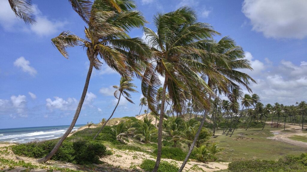 La belleza natural e histórica de Imbassaí: Un paraíso cerca de Salvador 4 visual exuberante