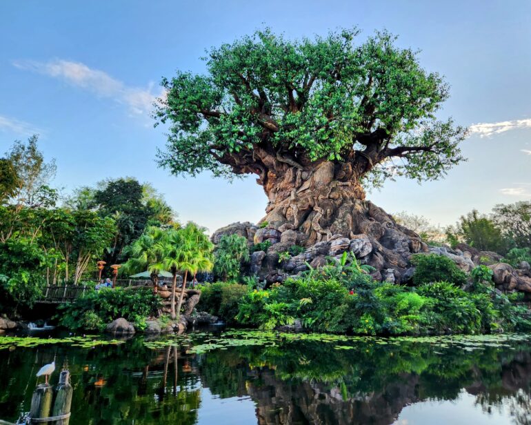 Los mejores parques temáticos de Orlando, Florida 4 Animal Kingdom