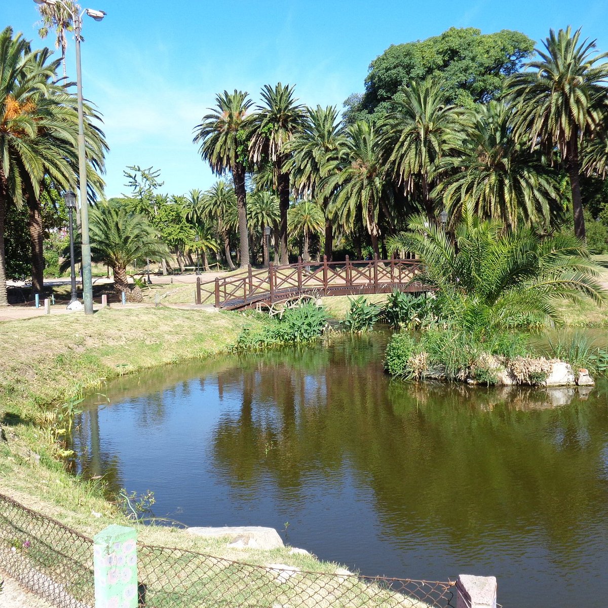Descubre la Encantadora Montevideo: Tesoros Turísticos en la Capital Uruguaya 3 parque rodo uruguay