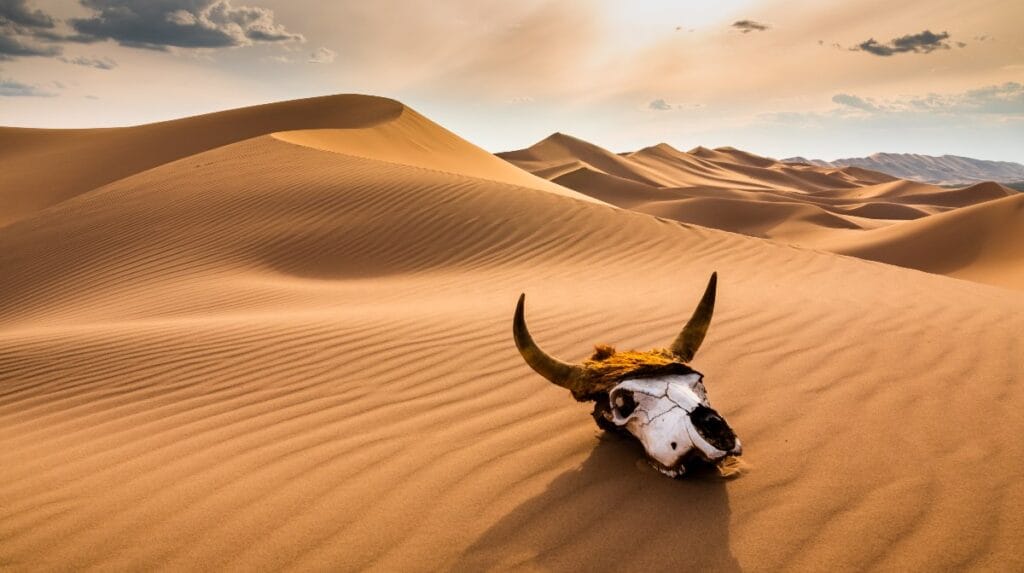 17 Lugares únicos y exóticos de Marrakech 4 Desierto del Sahara