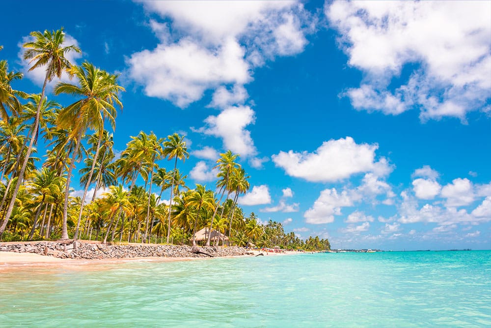 Descubre Maragogi, el Caribe Brasileño 1 maragogi