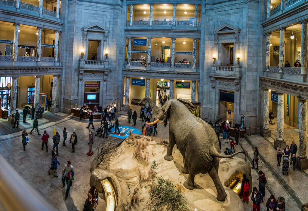 NMNH Rotunda