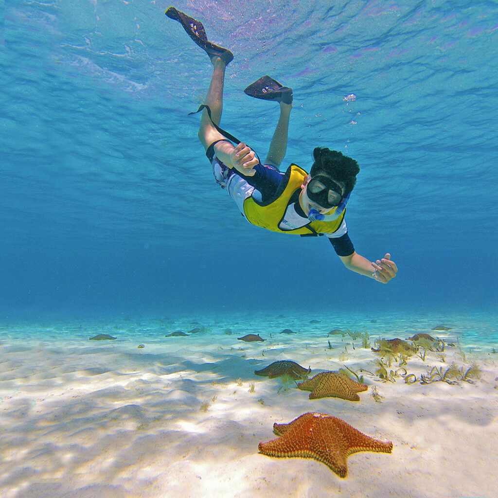 Descubrí la isla de Cozumel: el paraíso mexicano que no podes dejar de visitar 1 EL CIELO Destacada
