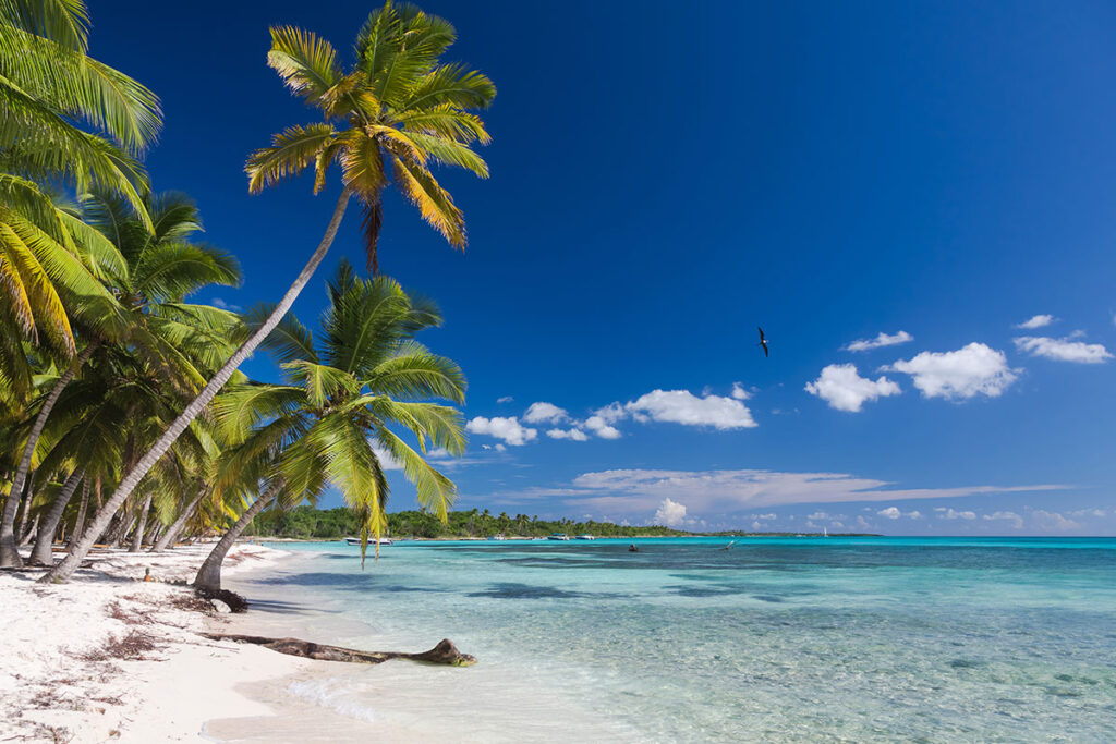 Top 5 Playas de Punta Cana: el caribe perfecto 1 coconut paquete turistico a Punta Cana