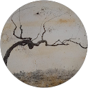 Pietro Battisti profile picture