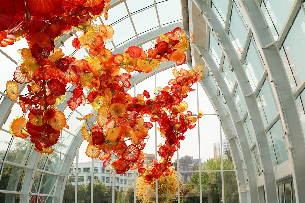 chihuly garden and glass 2023 11 27 04 59 10 utc