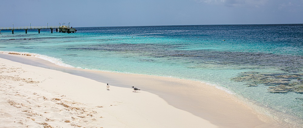 Las mejores playas de Bonaire: un paraíso por descubrir 1 teamo beach