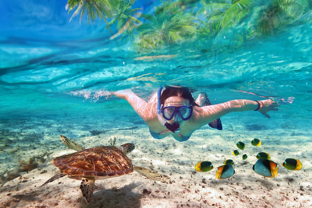 Qué hacer en Aruba: recorrer la isla feliz más allá de sus playas 3 Aruba Snorkeling