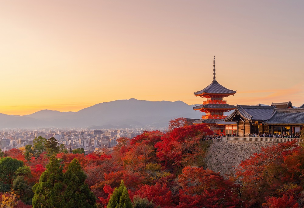Kioto: 10 lugares imprescindibles que debes visitar 4 red maple leaves or fall foliage in colorful autum 2024 10 18 09 03 29 utc