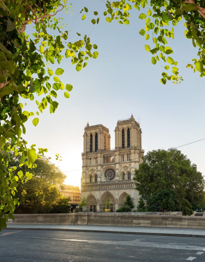 Qué ver en el Barrio Latino de París: un viaje a través de la historia y la cultura 4 notre dame de paris in early morning 2025 03 09 03 12 23 utc