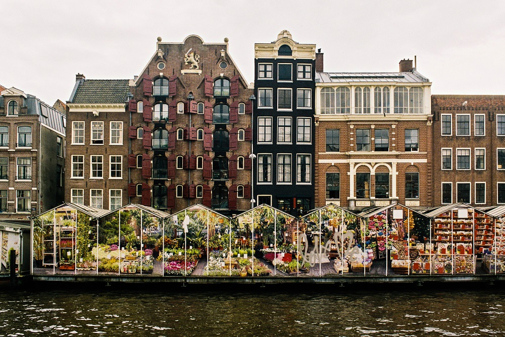Canales de Ámsterdam: conocer en profundidad los canales de la Venecia del Norte 3 bloemenmarkt flower market 2024 09 06 02 01 37 utc