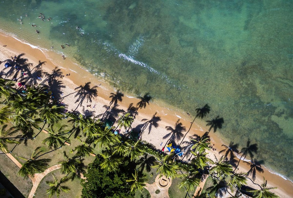 Playas de Praia do Forte: un destino imperdible para viajar 3 praia do forte5