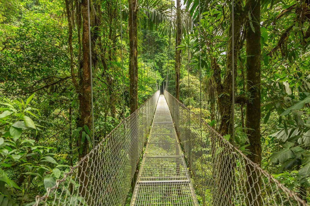 Monteverde, Costa Rica: tu escape al paraíso verde 1 TAL hanging bridge MONTEVERDECR1023 6c4f81c0c43c4c64a2c612e7ce0c33b4