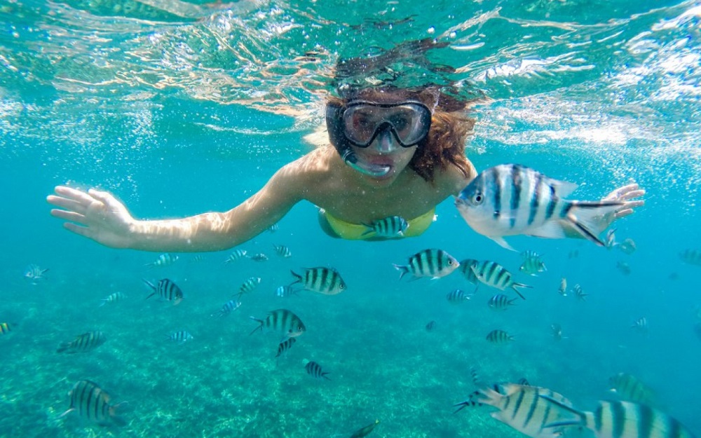 Isla Barú, Colombia: el paraíso en la península del eterno verano 3 buceo baru