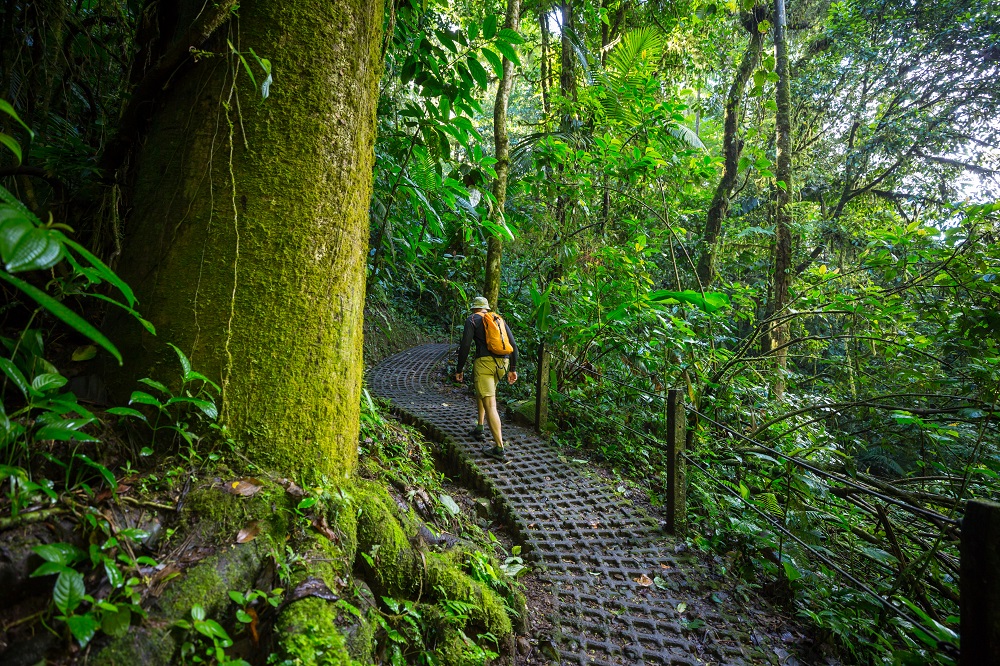 Monteverde, Costa Rica: tu escape al paraíso verde 3 hike in costa rica 2025 01 09 08 31 07 utc