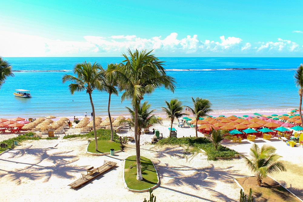 Las mejores playas de Maceió: un recorrido por el paraíso costero 6 palmeras en praia do frances