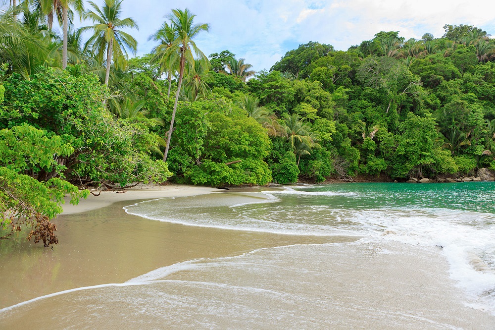 playa parque nacional manuel antonio