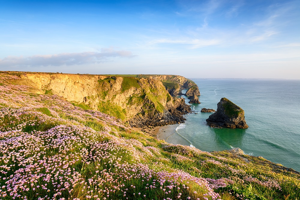 Cornualles, Reino Unido: acantilados y leyendas celtas 5 thrift at bedruthan in cornwall 2024 10 18 05 54 07 utc