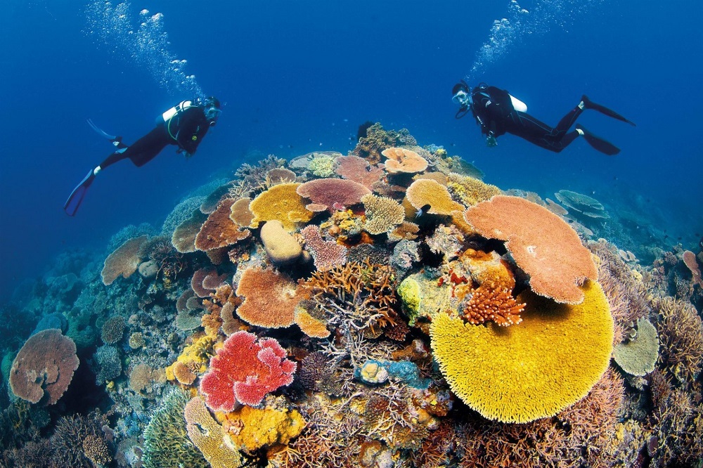 Por qué Melbourne y Cairns son los verdaderos tesoros ocultos de Australia 5 Australia1