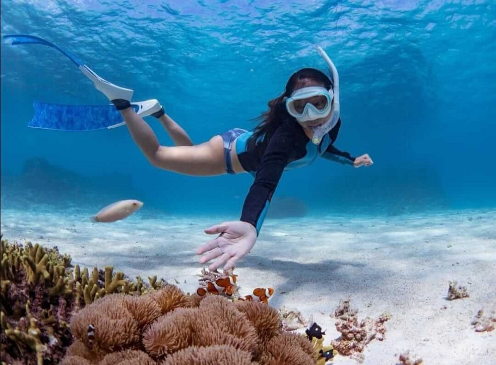 Costa Mujeres: las mejores playas escondidas del Caribe mexicano contadas por Travel Wise 4 cancun snorkeling pictures 24