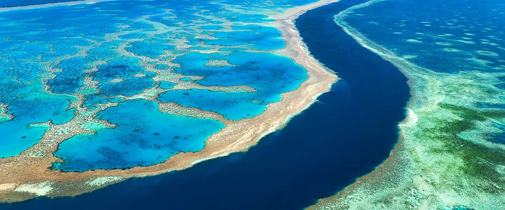 Por qué Melbourne y Cairns son los verdaderos tesoros ocultos de Australia 3 great barrier reef
