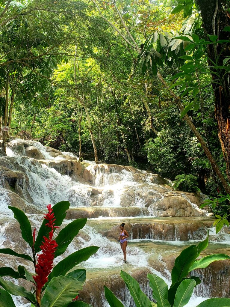 Los 5 mejores hoteles de Jamaica que cambiarán tu perspectiva sobre el Caribe 7 Dunns River Falls
