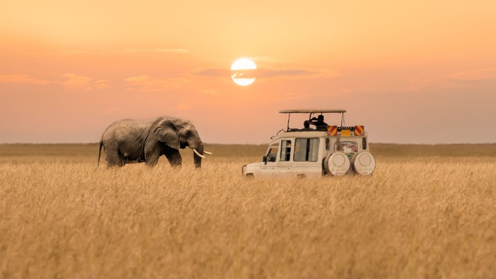 Safari en Masai Mara: la experiencia auténtica que Kenia te regala lejos de las multitudes 1 Masai Mara la esena de Africa