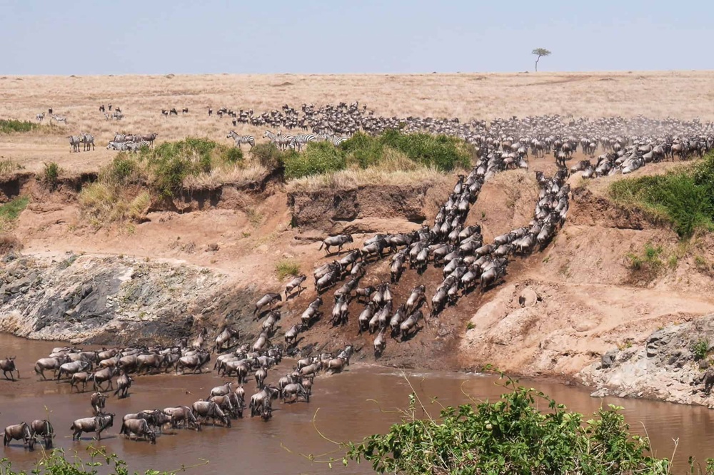 Safari en Masai Mara: la experiencia auténtica que Kenia te regala lejos de las multitudes 2 Reserva nacional de Masai rio Mara