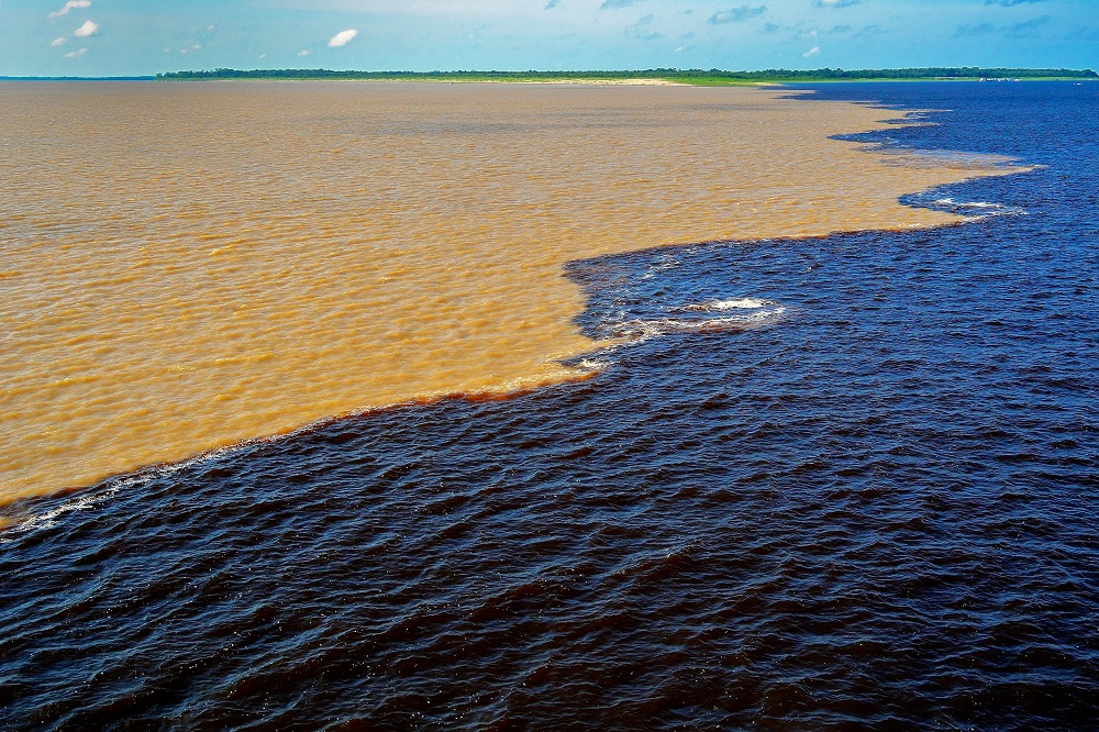 Manaos y la selva amazónica: el corazón verde de Brasil que late con fuerza salvaje 3 d26926f2f4ra1