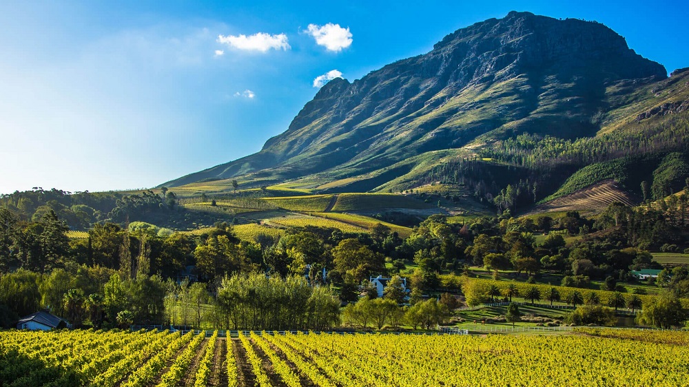 cape winelands south africa