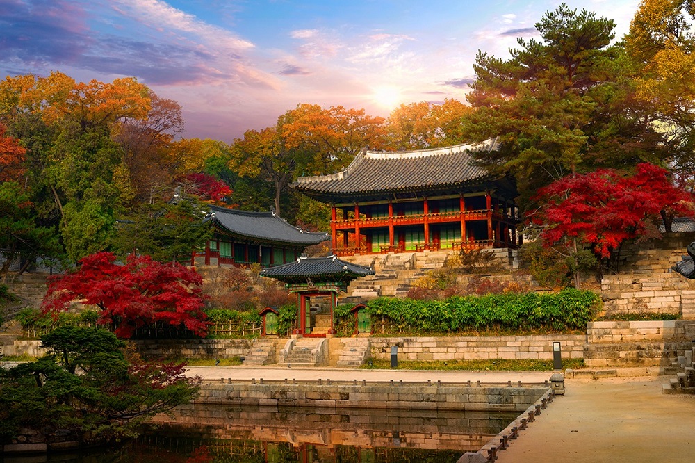 Los 10 lugares imperdibles de Seúl que tenés que conocer sí o sí 3 Traditional Korean Experiences Full Day Palace Tour in Seoul