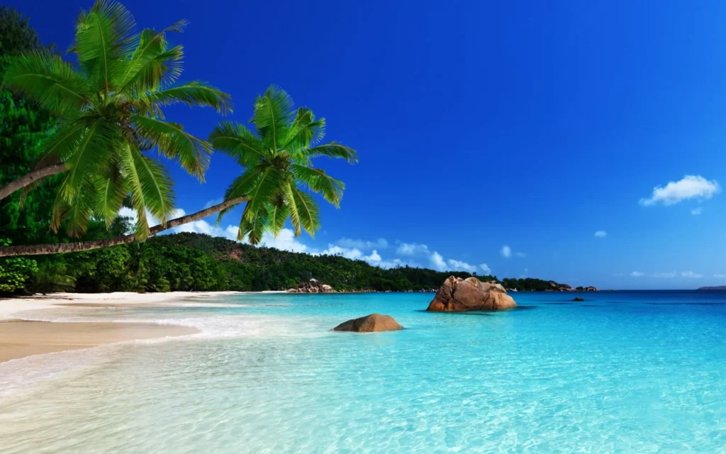 Turks y Caicos: el secreto mejor guardado del Caribe que estás a punto de descubrir 1 Turks y Caicos