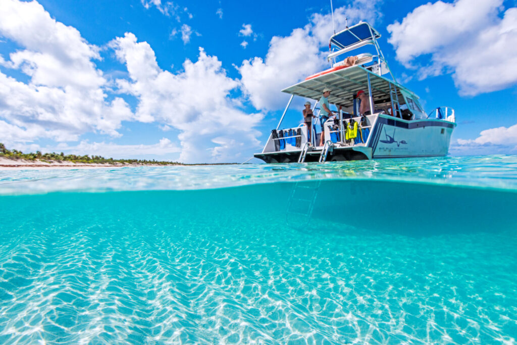 Turks y Caicos: el secreto mejor guardado del Caribe que estás a punto de descubrir 3 Turks y Caicos snorkel