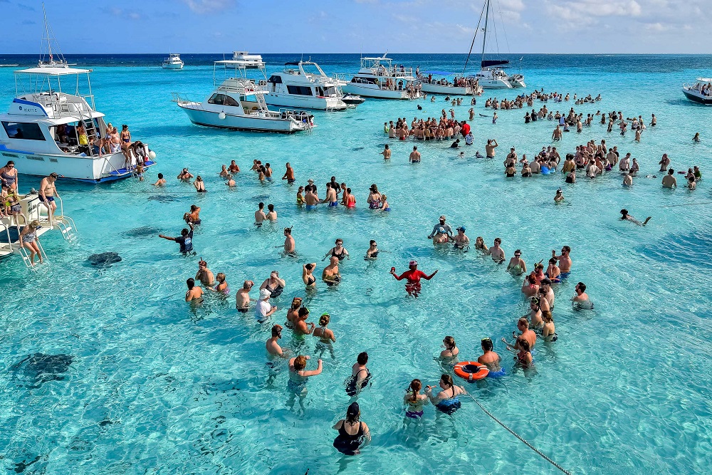 Stingray sandbar 1001