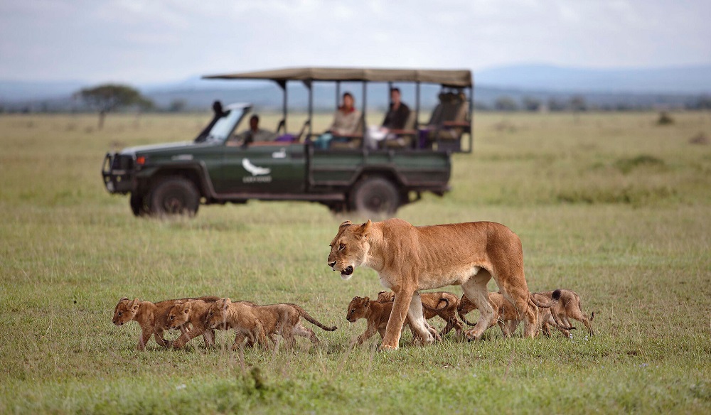 Cráter Ngorongoro y Serengeti: el safari definitivo 3 andbeyond grumeti serengeti tented camp wildlife lions 01.e8eb22cb
