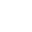 Safari