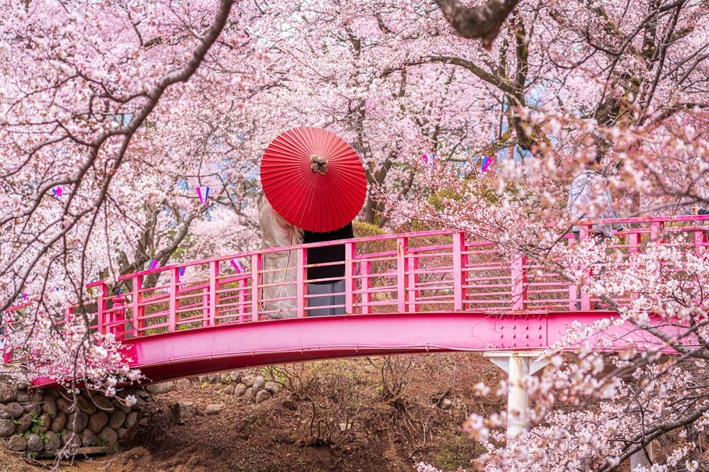 1728631836 hanami