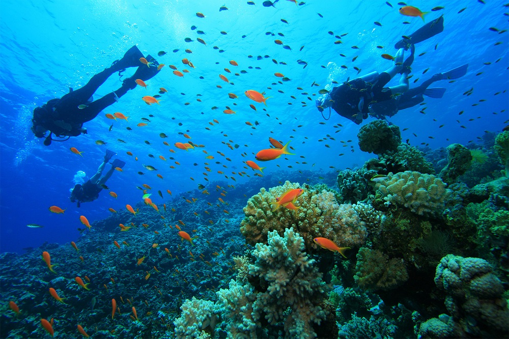 Belice: el paraíso acuático más secreto de América 5 buceo belice